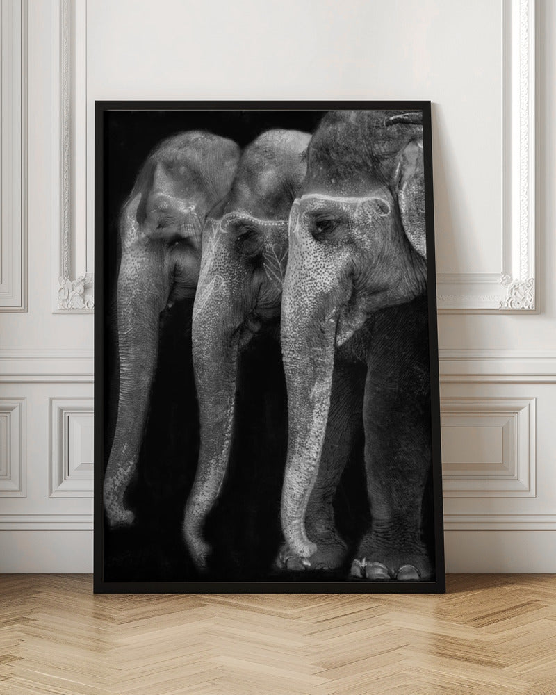 Artwork Nature\'s great masterpiece, an elephant; the only harmless great thing ...36X48inches- Unframed