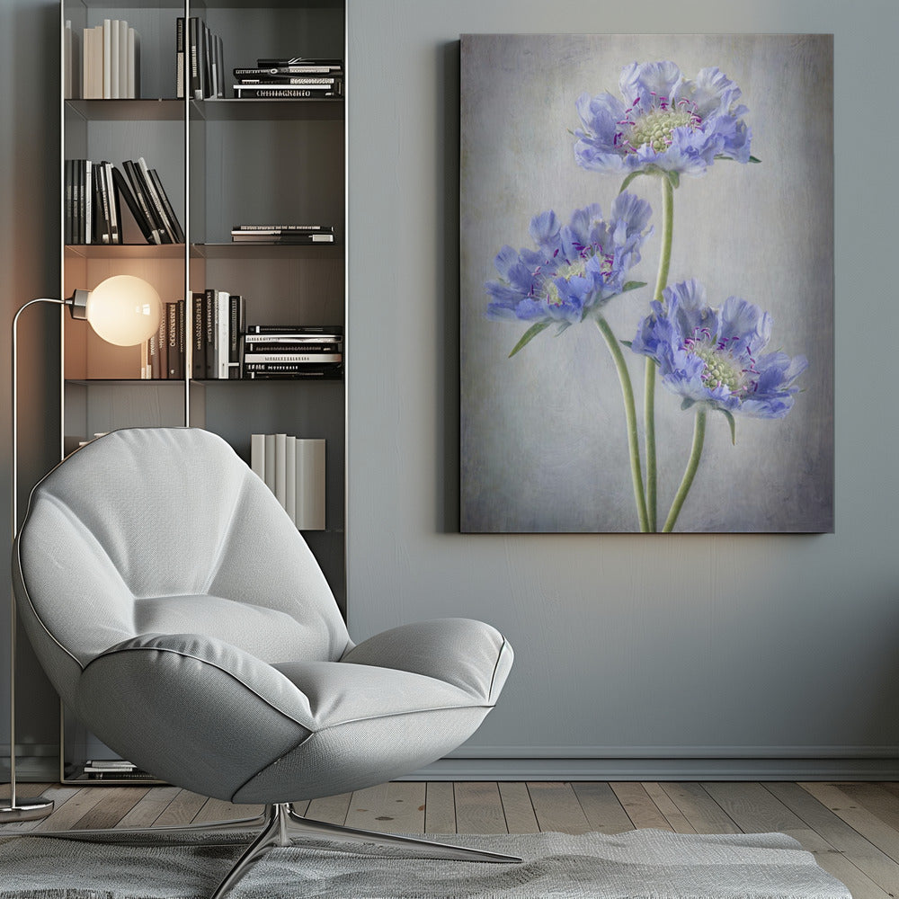 Scabiosa Wall Artwork 0