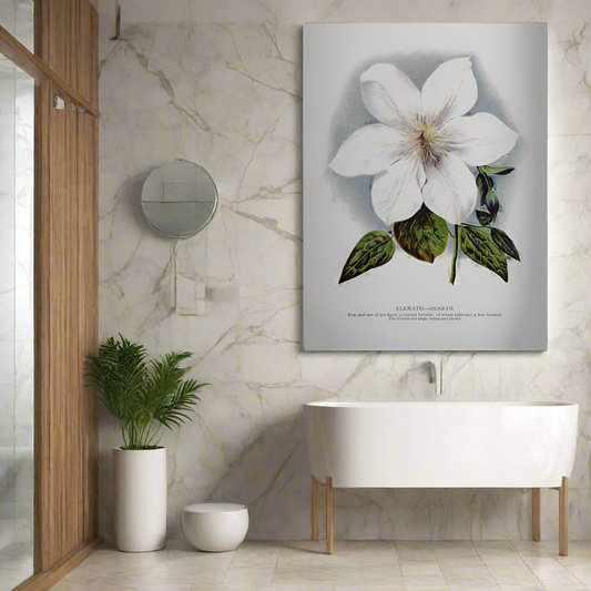 Clematis Flower Lithograph Wall Artwork In Black Floating Frame