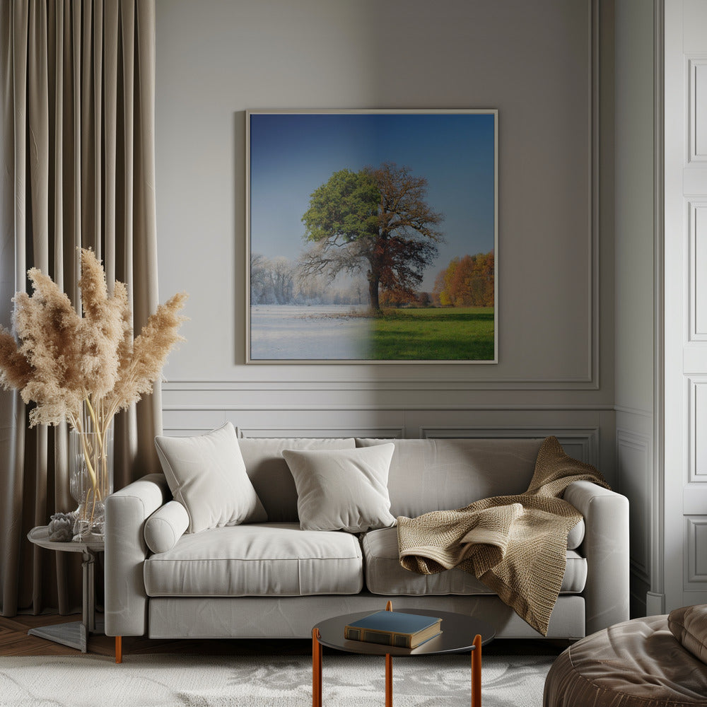 4 seasons Wall Artwork 0