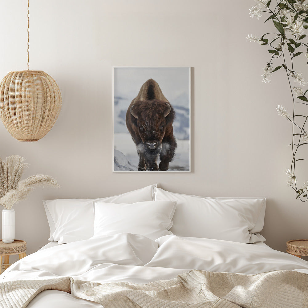 Bison Incoming Wall Artwork 0