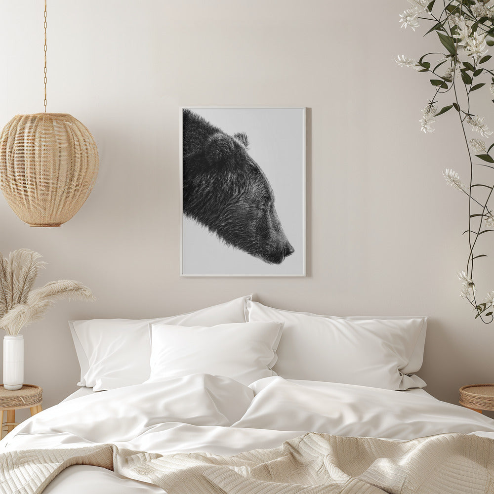 Artwork- The Salmon Catcher-16X20inches-In White Floating Frame