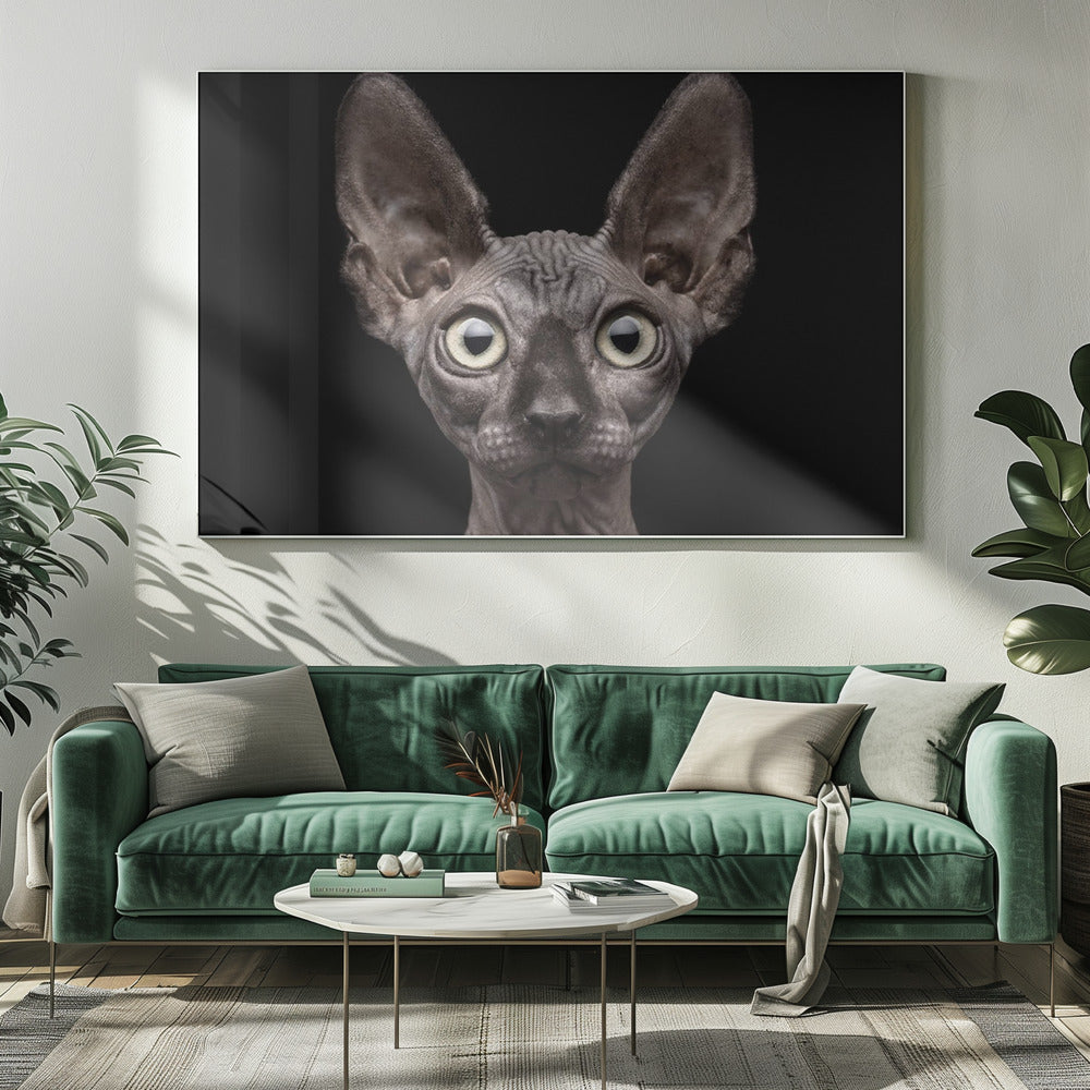 Artwork Sphynx Cat20X16inches- Unframed