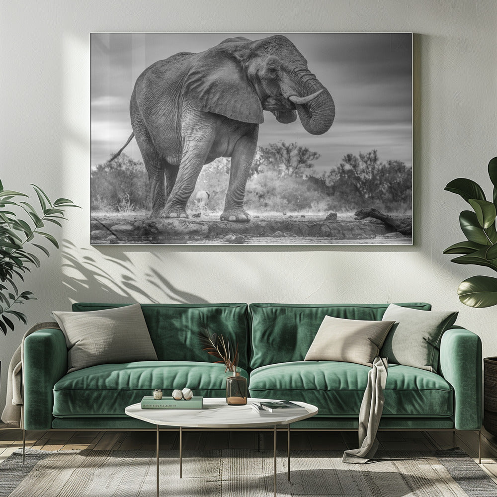 Artwork Standing Proud. Elephant20X16inches- Unframed