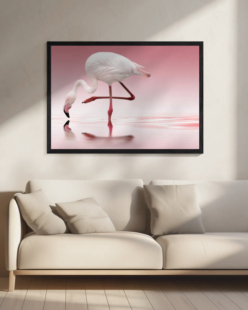 Artwork Flamingo20X16inches- Black Frame