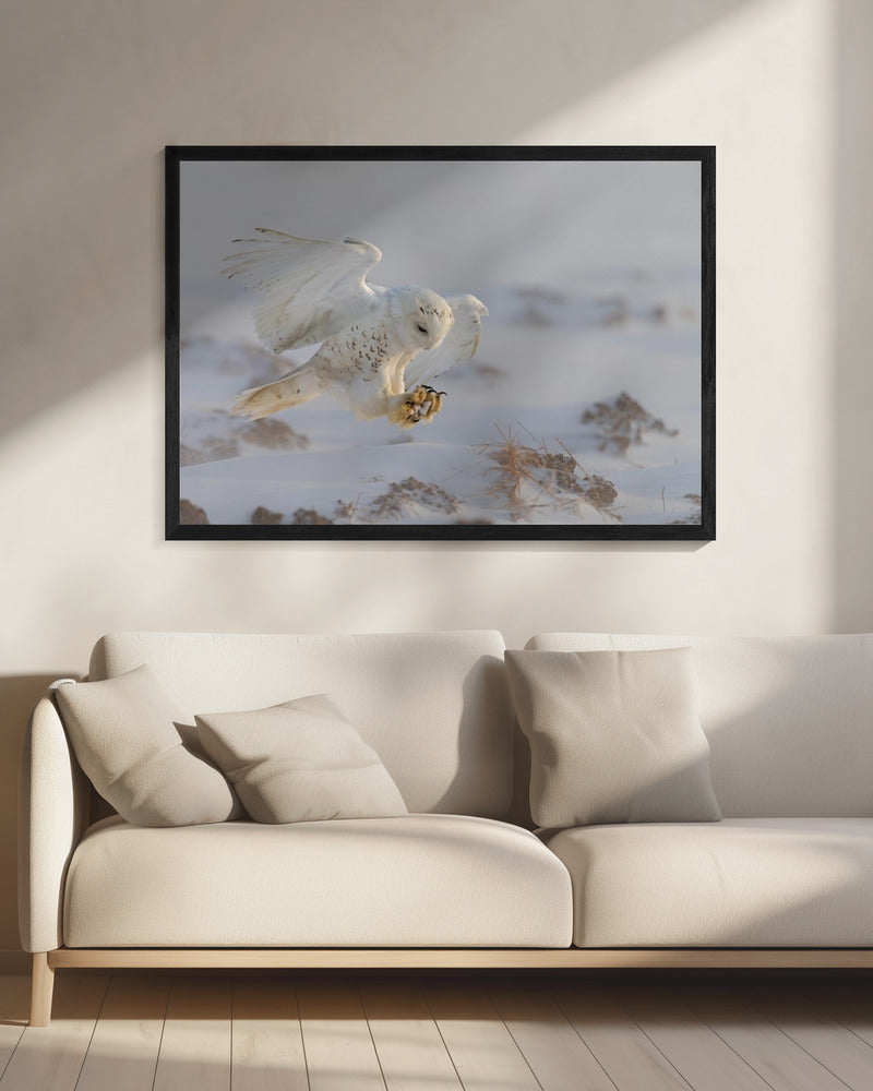 Wall art Landing-20X16inches-In Black Floating Frame