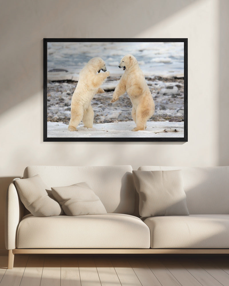 Wall art Fight !-20X16inches-In Black Floating Frame