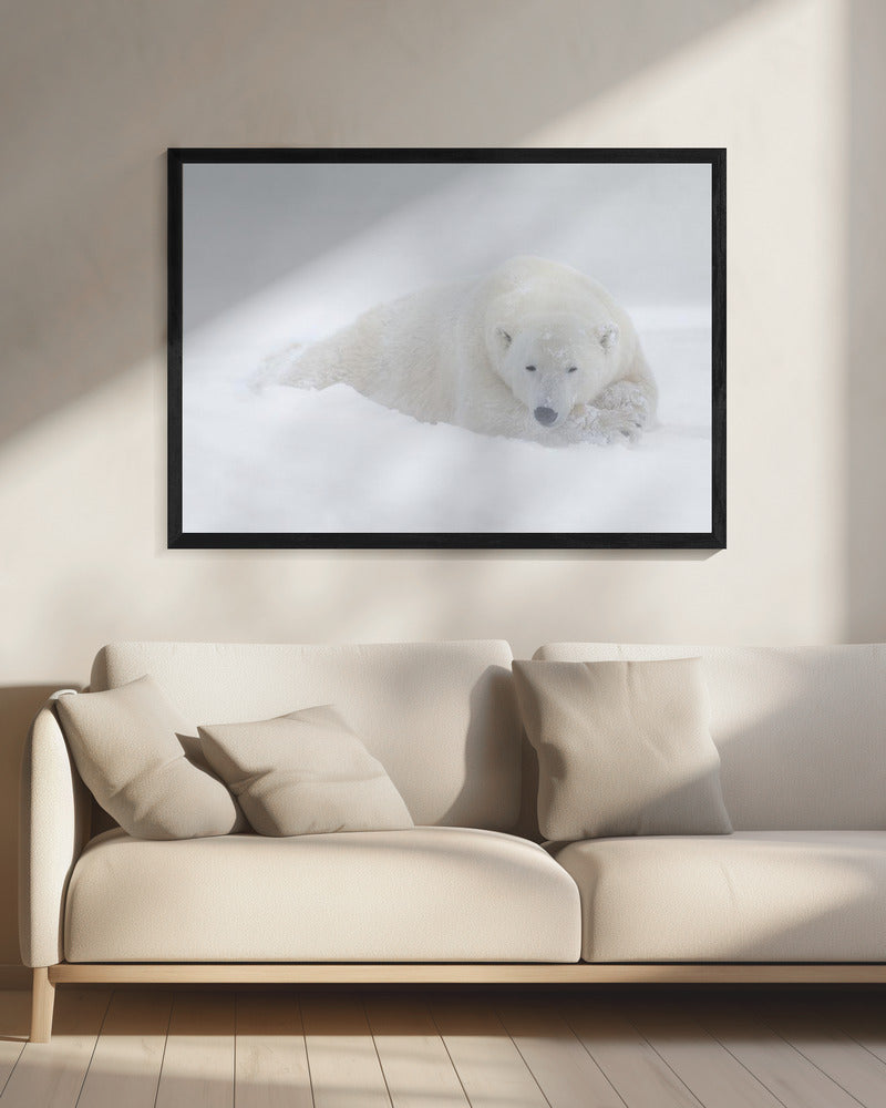 Wall art White-20X16inches-In Black Floating Frame