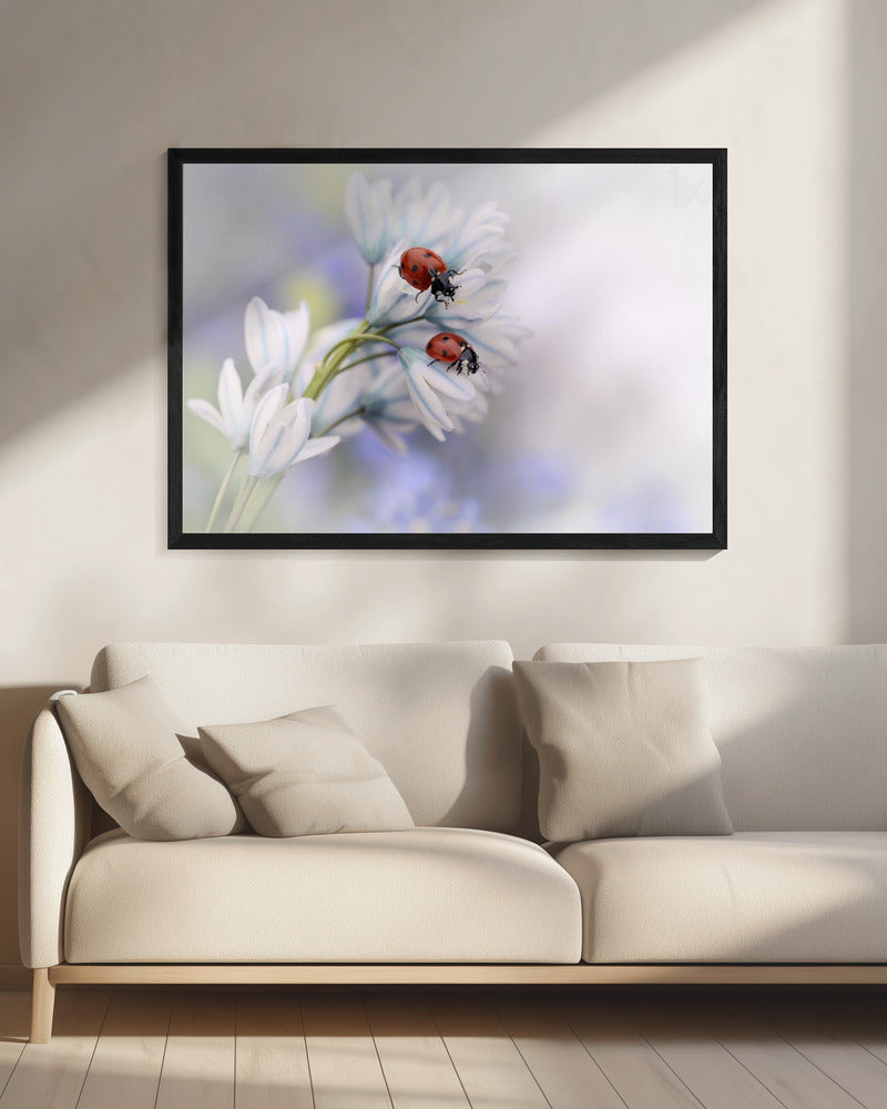 Artwork Ladybirds20X16inches- Black Frame