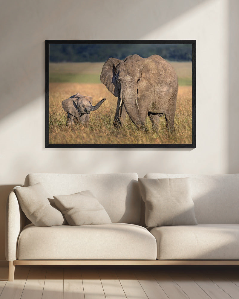 Artwork Mom elephant with calf20X16inches- Black Frame