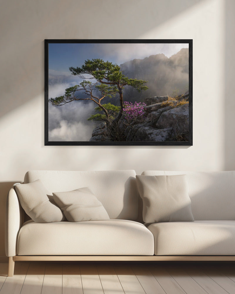 Dream dancer Wall Artwork 0