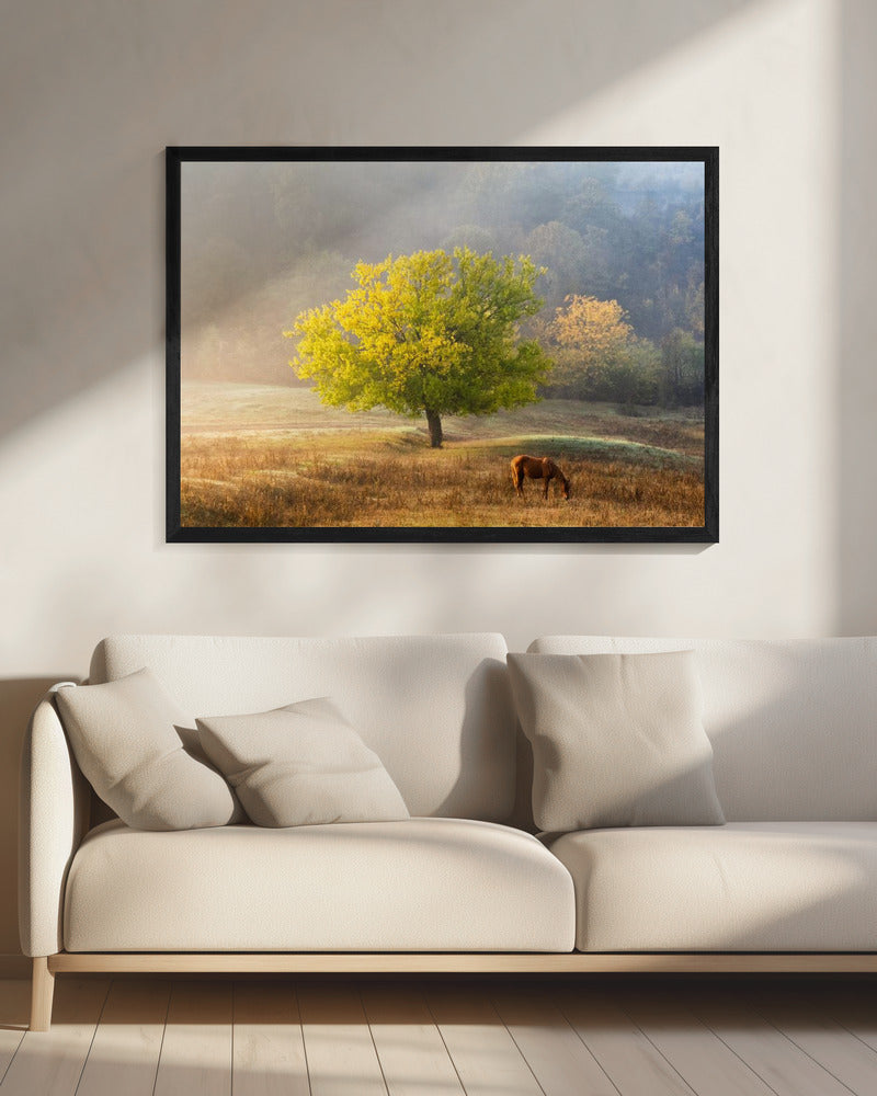 Tree of Life artwok Wall Artwork 0