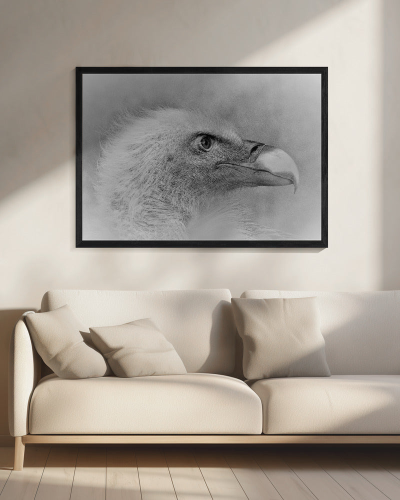 Artwork- Bald eagle-48X36inches-In White Floating Frame