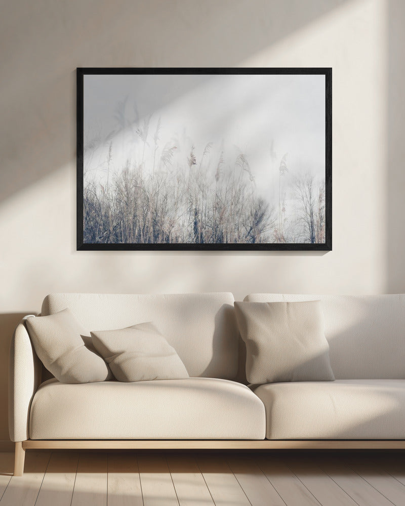 Artwork- Landscape of reeds and grass-48X36inches-In White Floating Frame