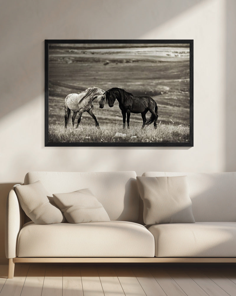 Artwork close encounter20X16inches- Black Frame