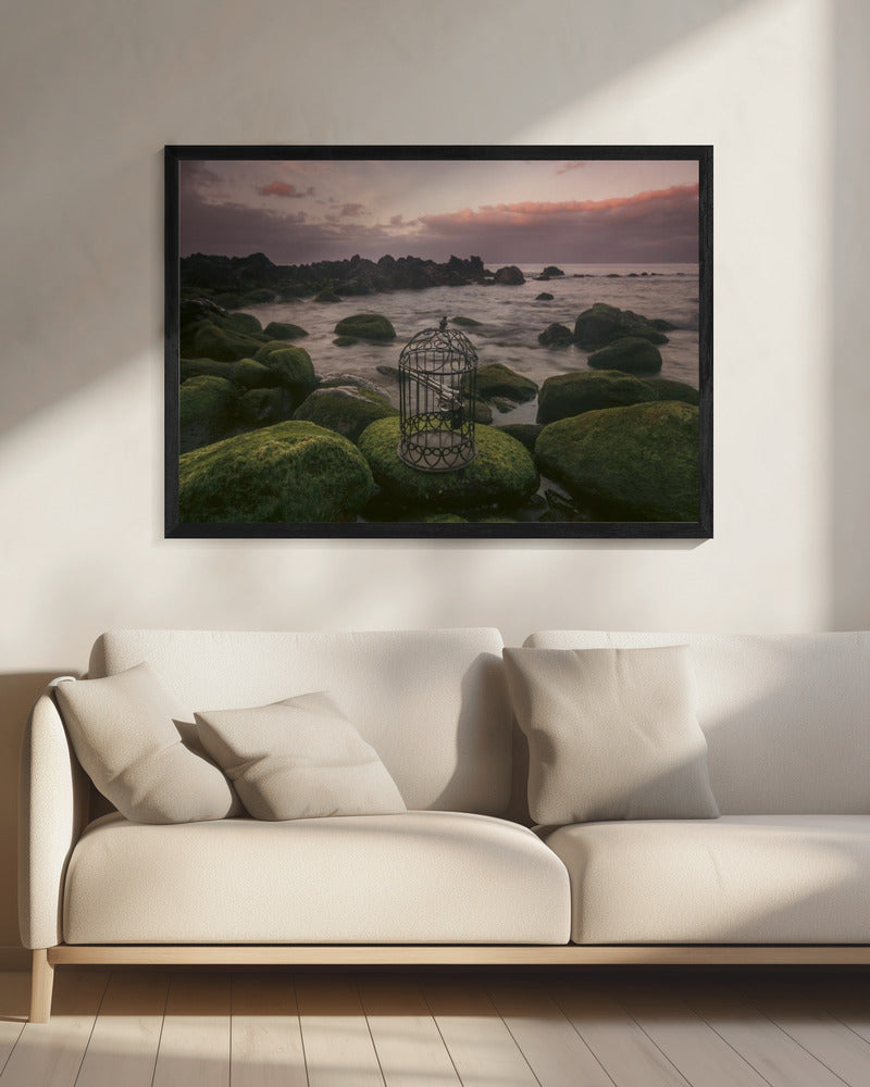 Wall art Free yourself!-20X16inches-In Black Floating Frame