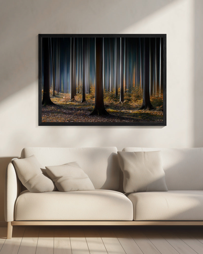 Artwork Mystic Wood20X16inches- Black Frame