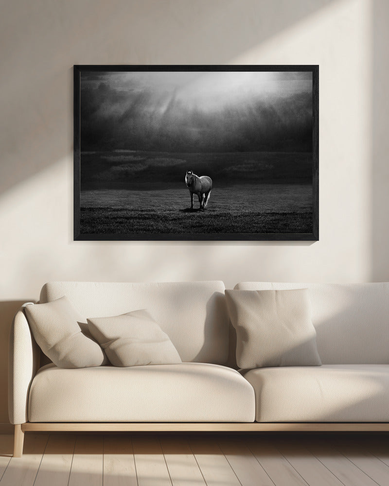 Artwork morning appearance. Hourses20X16inches- Black Frame