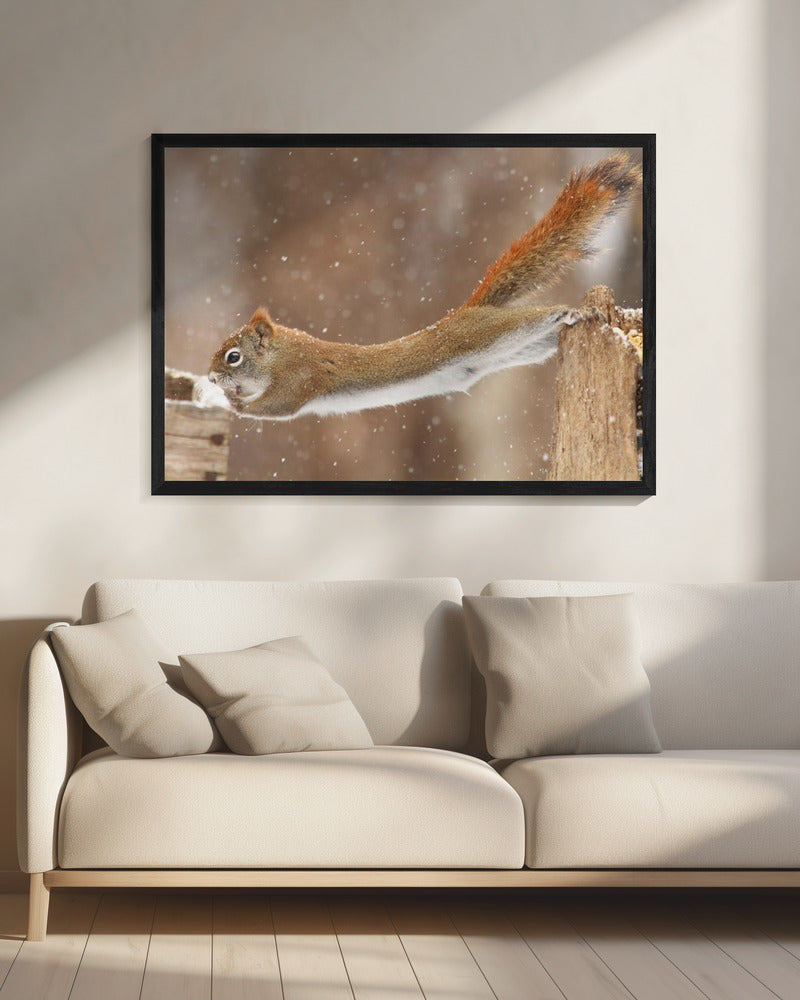 Wall art The Acrobat-20X16inches-In Black Floating Frame