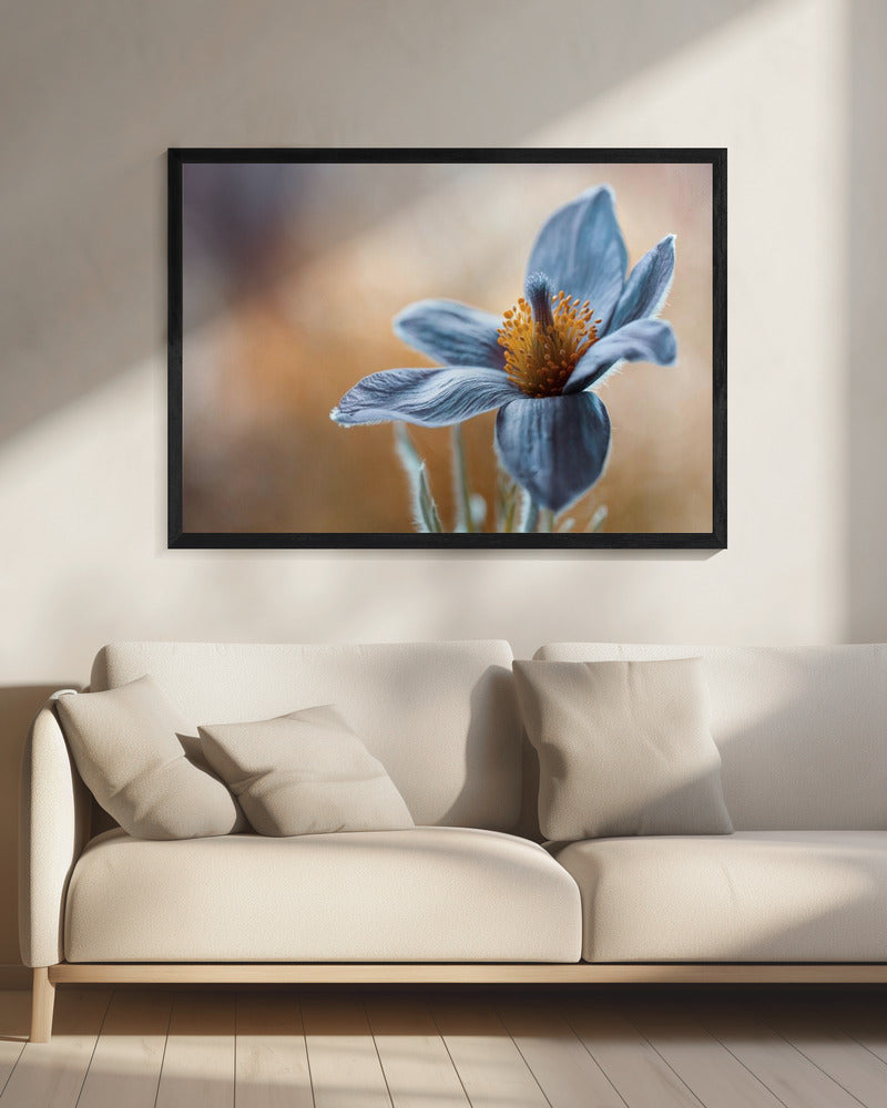Artwork Pasque. Floral20X16inches- Black Frame