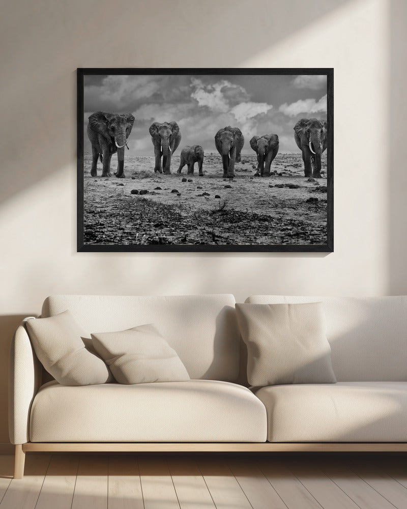 Artwork Big Family. Elephants20X16inches- Black Frame