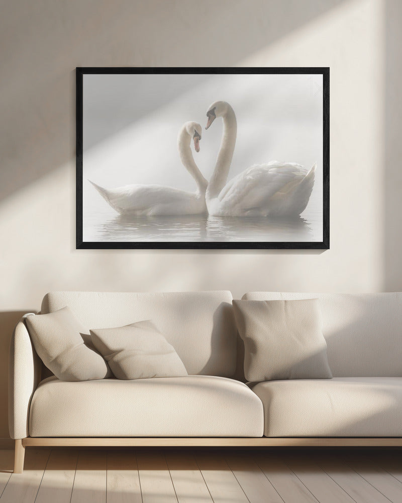 Artwork Forever. Swam20X16inches- Black Frame