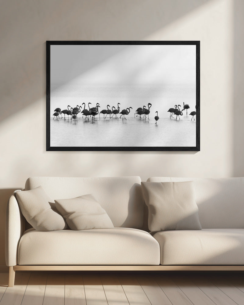 Artwork Flamingos20X16inches- Black Frame