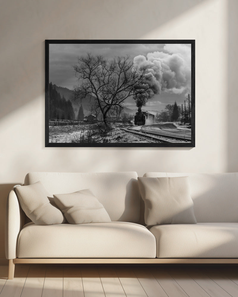 Artwork- Mocanita Hutulca-48X36inches-In White Floating Frame