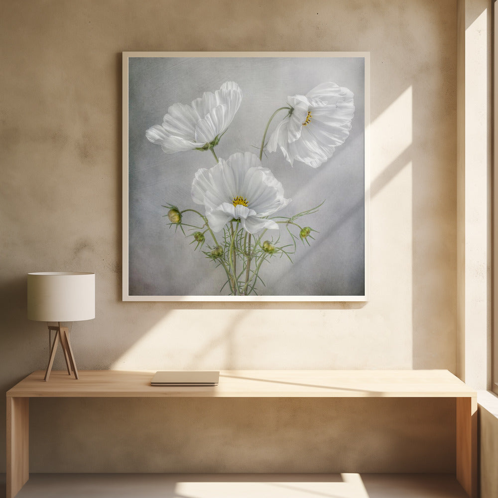 Cosmos Charm Irises Wall Artwork 0