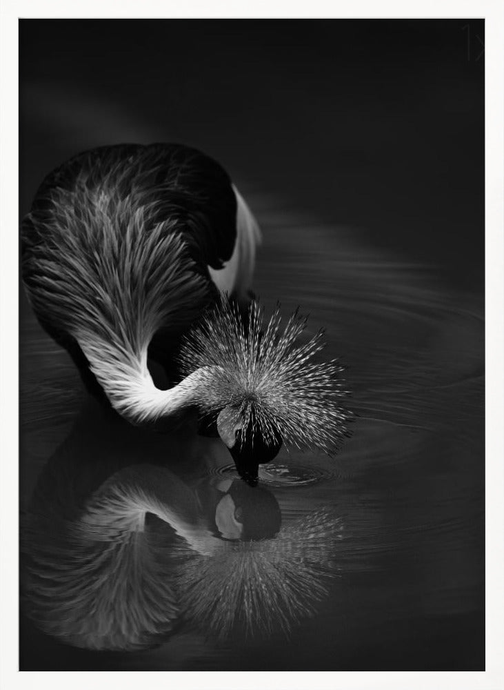 Artwork- The reflection-36X48inches-In Black Floating Frame