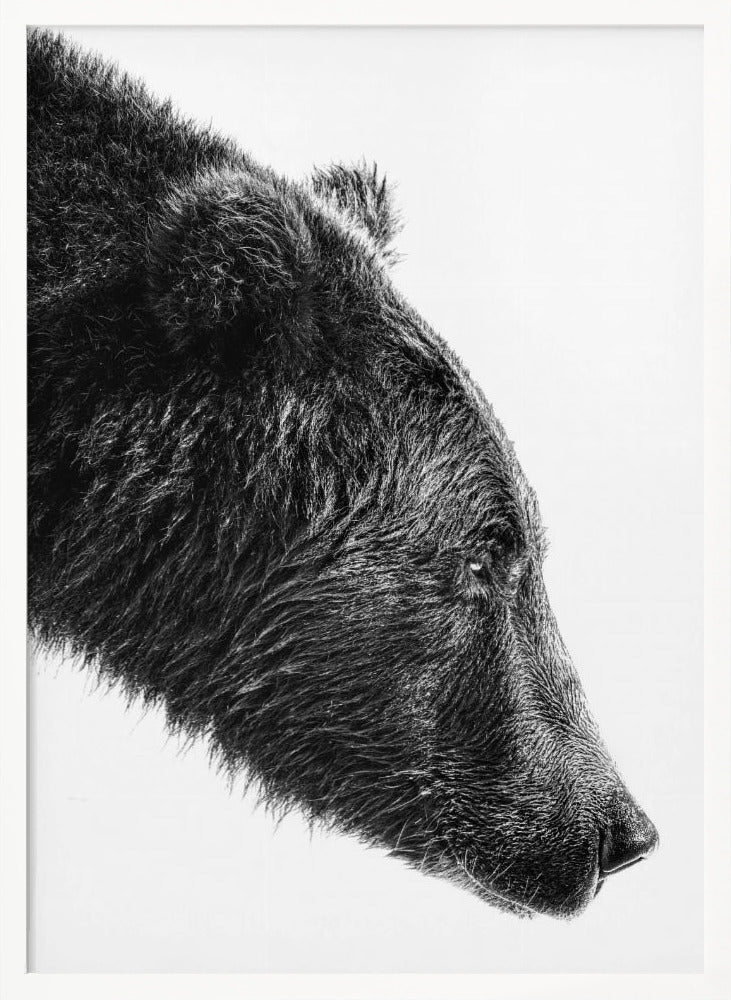 Artwork- The Salmon Catcher-36X48inches-In Black Floating Frame