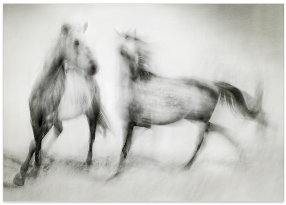 Artwork- Shivers-48X36inches-Gallery Wrapped (Ready to Hang)