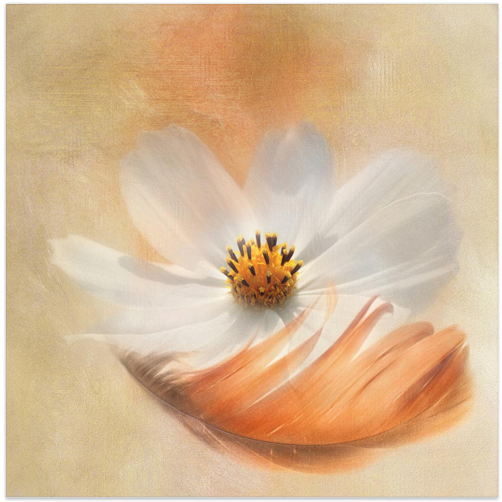 Light as a Feather Wall Artwork In White Floating Frame