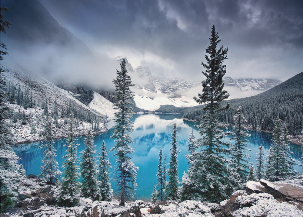 Artwork Morning blues48X36inches- Unframed