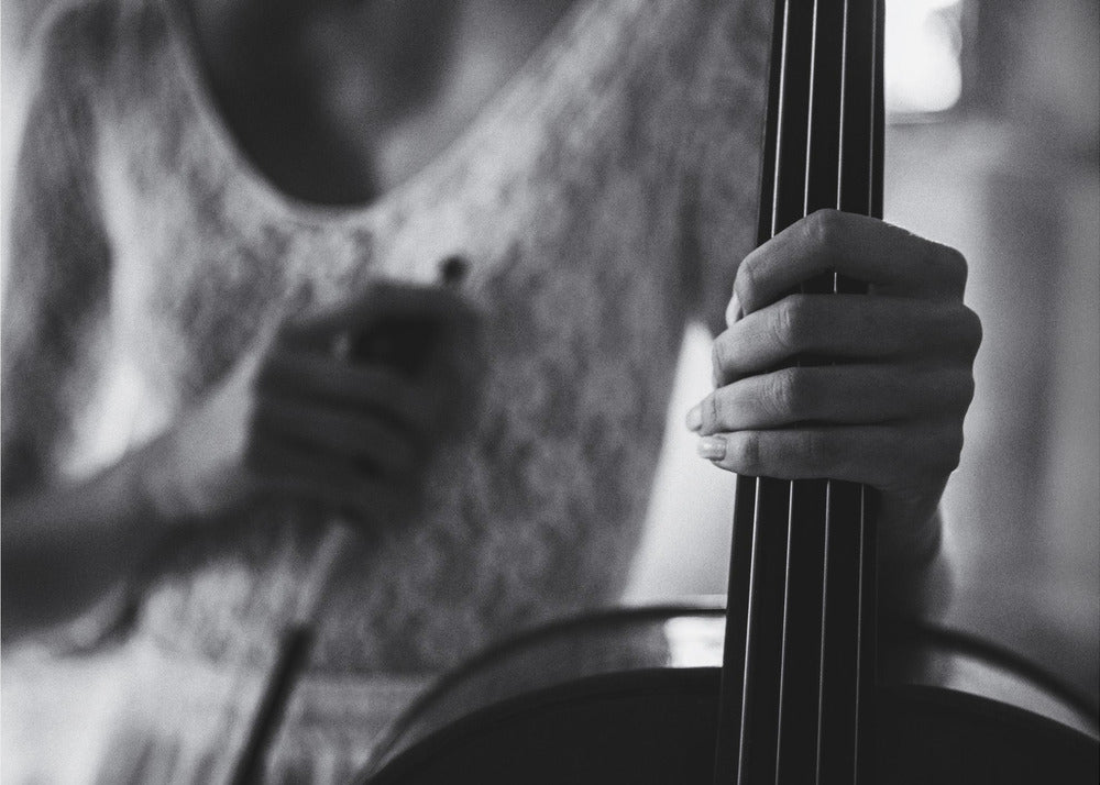 Artwork- break for the cello-20X16inches-In Black Floating Frame