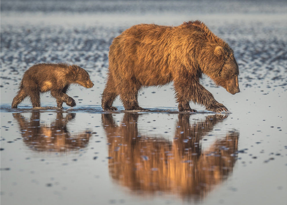 Artwork Beauty and the beast48X36inches- Unframed