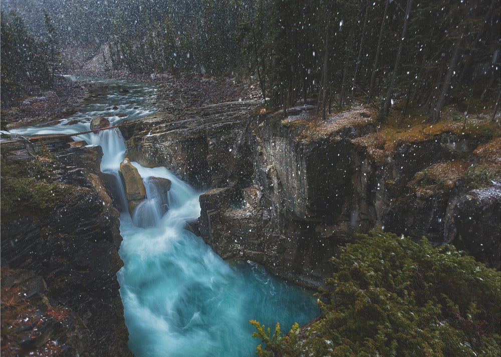 Wall art Surprise-48X36inches-Gallery Wrapped (Ready to Hang)