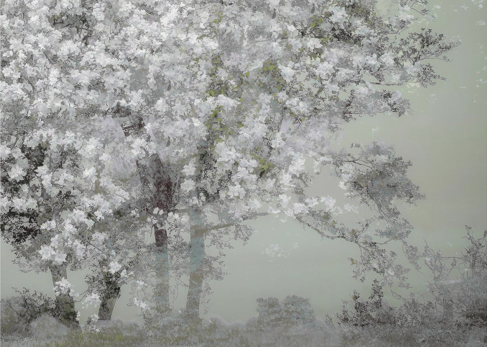 Spring Wall Artwork In Black Floating Frame
