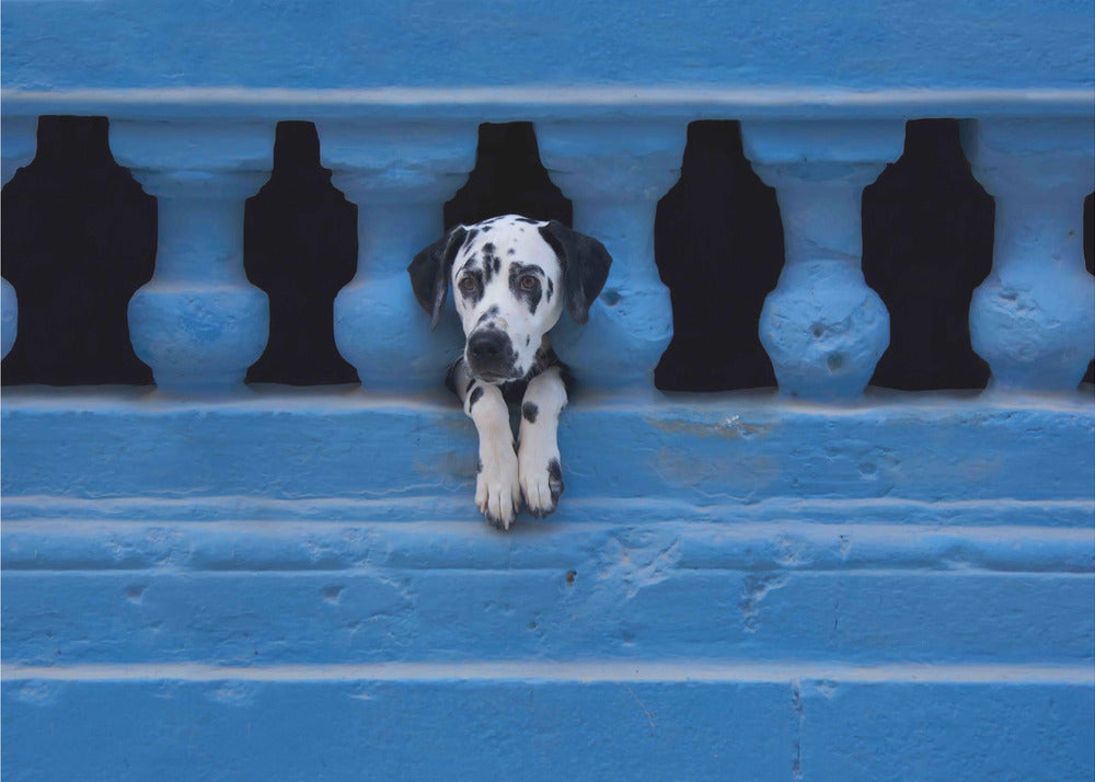 Artwork Centro Habana48X36inches- Unframed