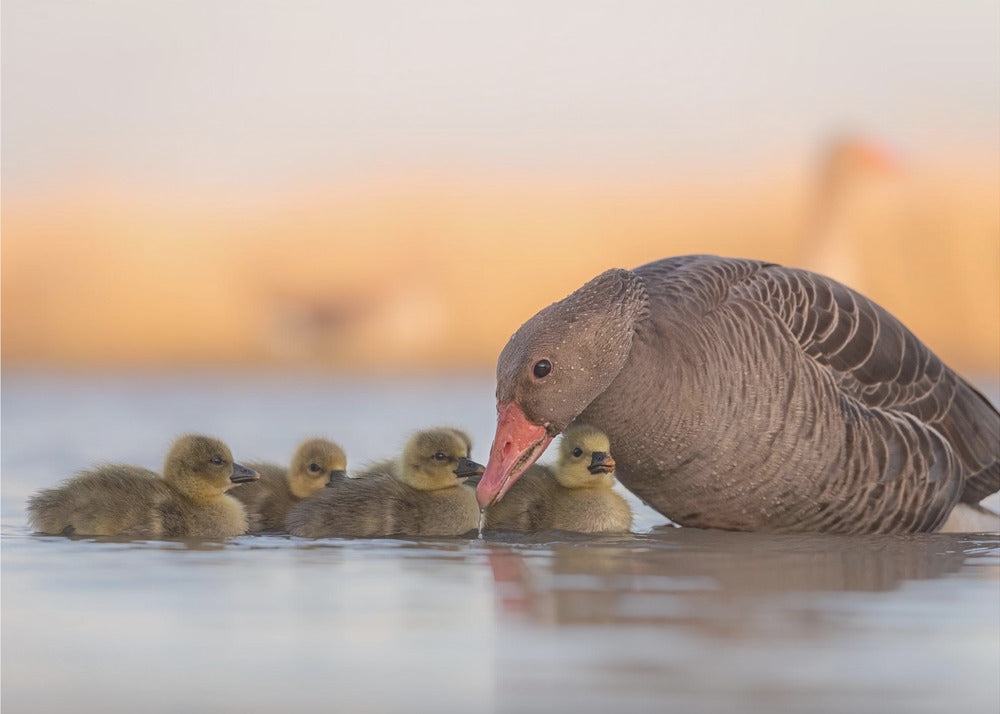 Artwork happy family48X36inches- Unframed