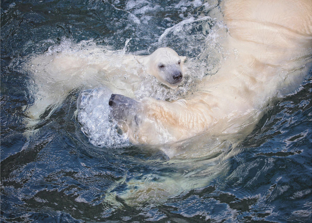 Artwork HER CUTENESS, swimming with mum48X36inches- Unframed