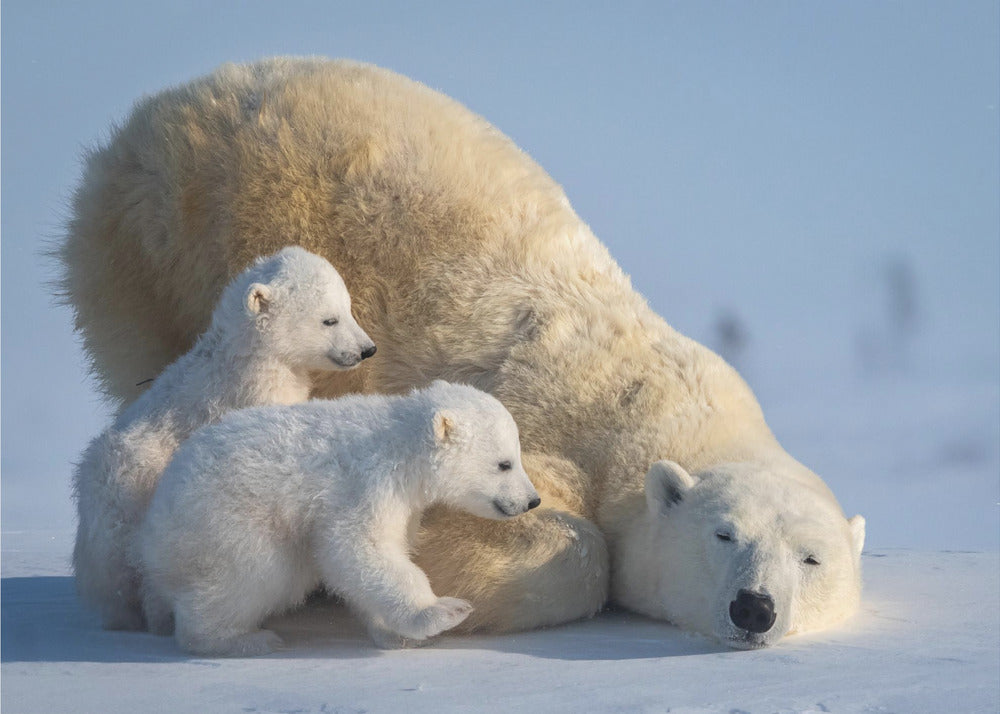 Artwork Mum, Play together48X36inches- Unframed