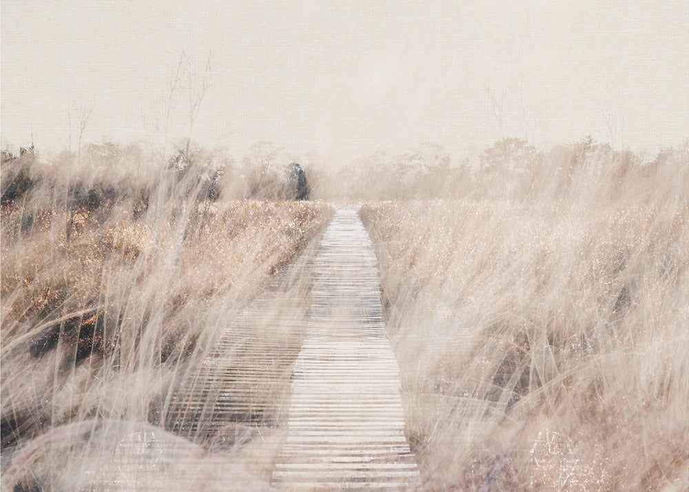 Artwork- Dreamy landscape-20X16inches-In Black Floating Frame