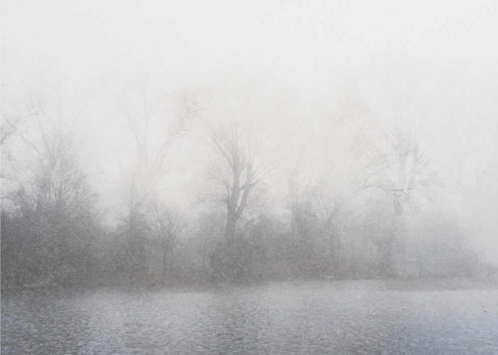 Artwork- Misty landscape-20X16inches-In Black Floating Frame
