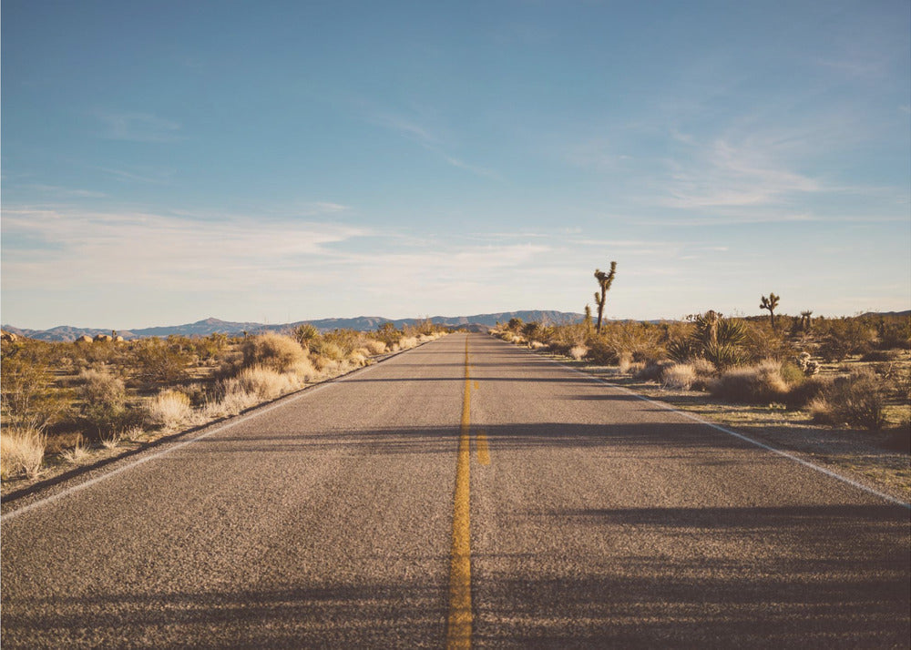 Joshua Tree Road Wall Artwork Gallery Wrapped (Ready to Hang)