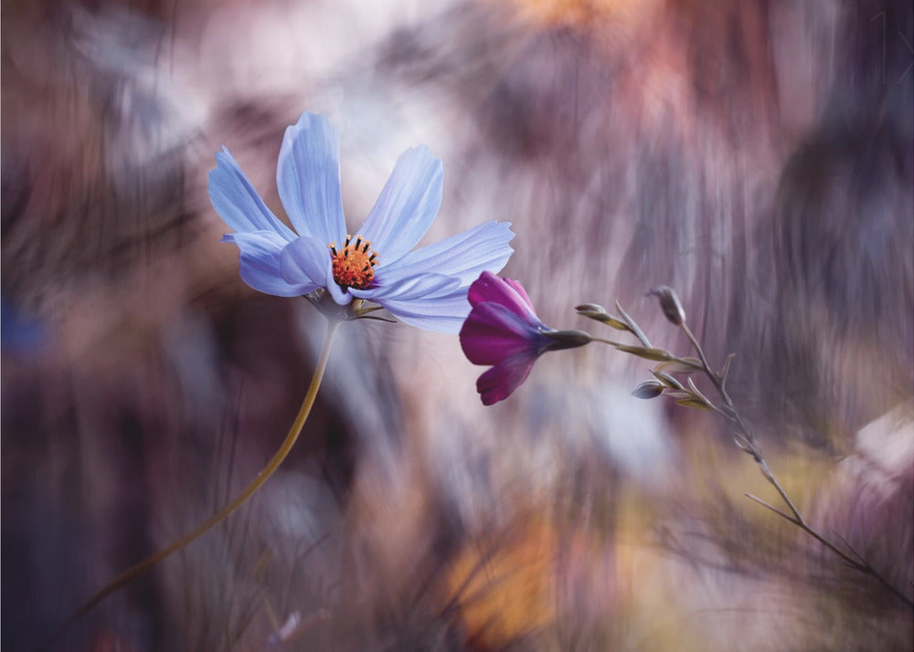 Artwork Le rendez vous48X36inches- Unframed