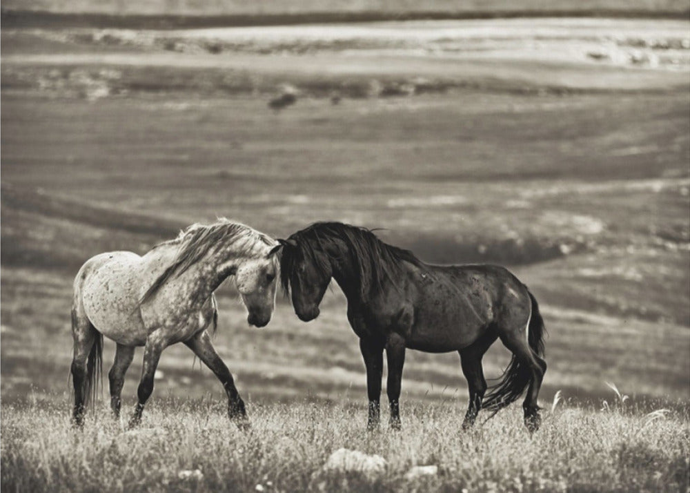 Artwork close encounter48X36inches- Unframed