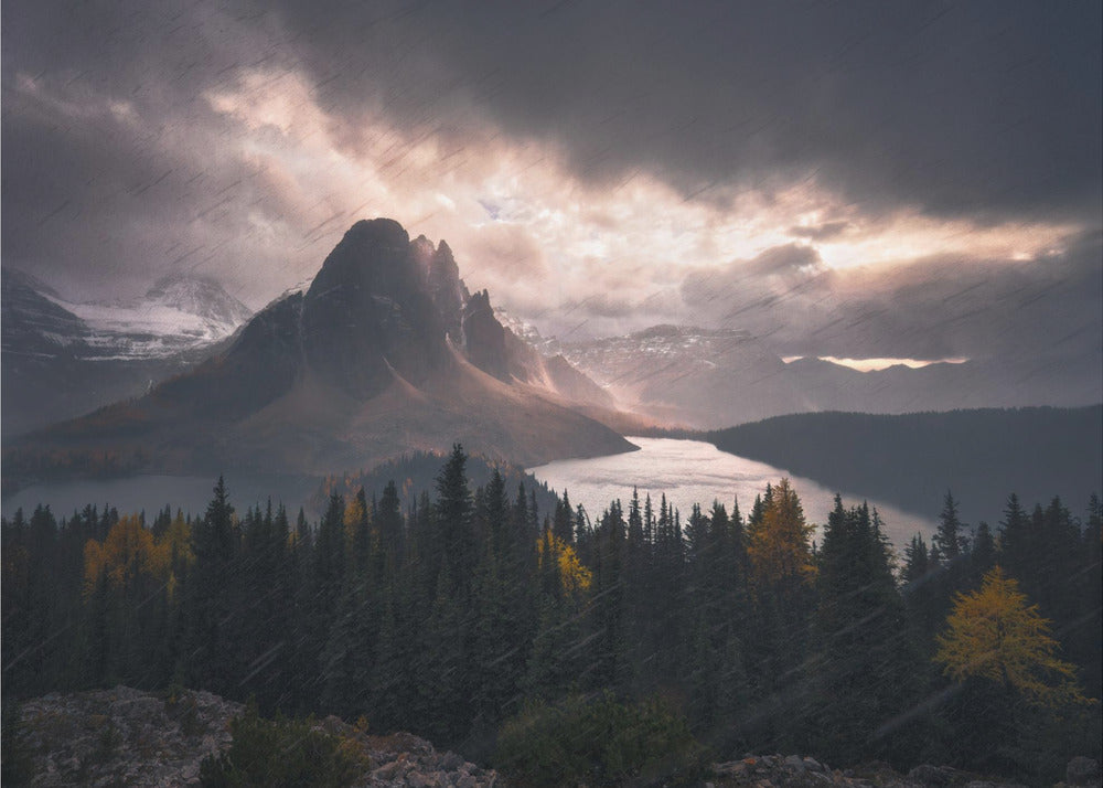 Wall art Assiniboine in Snow-48X36inches-Gallery Wrapped (Ready to Hang)