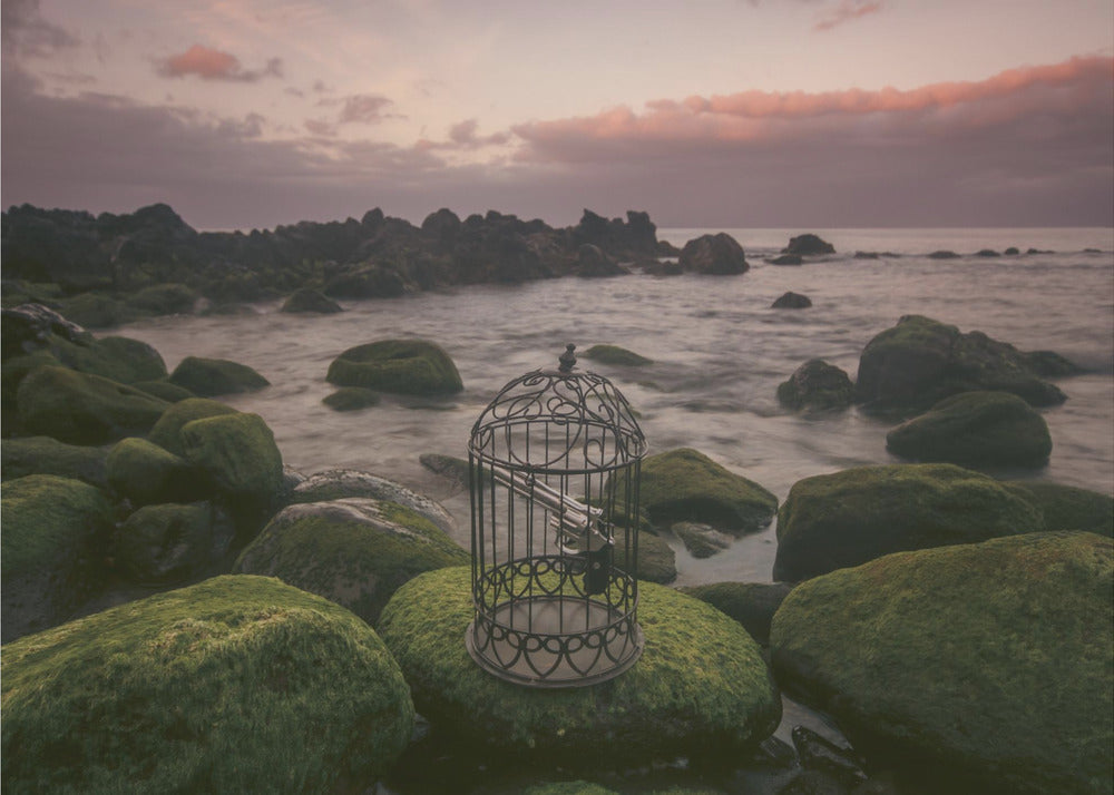 Wall art Free yourself!-48X36inches-Gallery Wrapped (Ready to Hang)