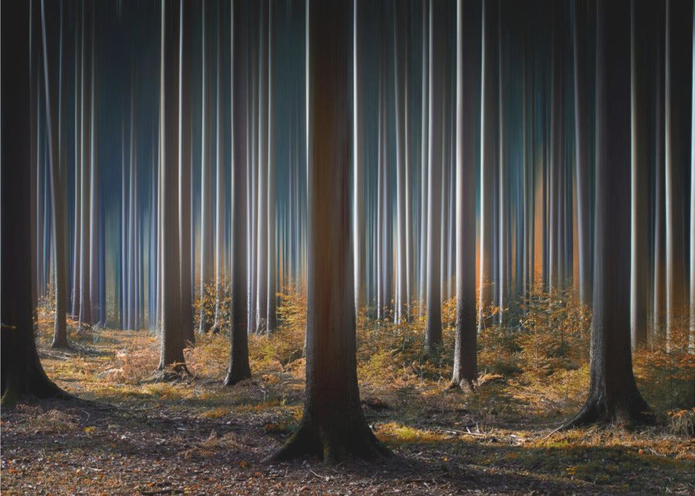Artwork Mystic Wood48X36inches- Unframed